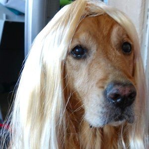 Create a bundle of 3 or more items and save 20%!